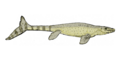 Selmasaurus