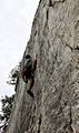 Climber on "Castor," east face of Seneca Rocks