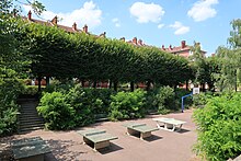 Photographie en couleur d'arbre et d'espaces de jeu.