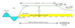 Fig. 3. Longitudinal section of a tidal canal and cross-section through the river levee