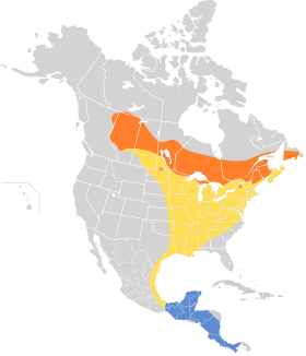 Distribución geográfica del vireo de Filadelfia