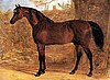 The 1815 Epsom Derby winner, Whisker, in a painting by or in the style of John Frederick Herring, Sr.