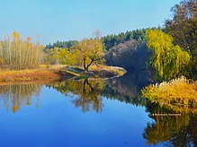 Ворскла в тиху осінь біля Котельви