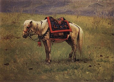 Гималайский пони, 1875