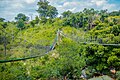 Canopy walkway at Kintampo waterfalls