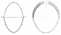 Analogy between an arch and a hanging chain and comparison to the dome of Saint Peter's Basilica in Rome (Giovanni Poleni, 1748)