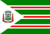 Flag of Pitangueiras