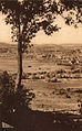 Blénod-lès-Pont-à-Mousson. À cet endroit le ruisseau d'Esch se sépare en deux bras, soulignés par leur ripisylve.