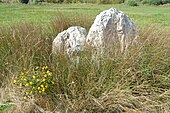 Menhir de la Pierre Folle