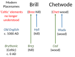 Tolkien and the Celtic: etymology of Brill and Chetwode