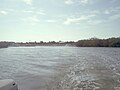 Caladesi Park's boat marina, in the distance; the low shoreline trees are mangroves.