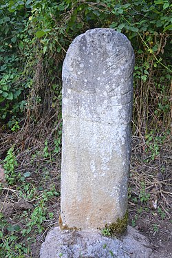 Image illustrative de l’article Statue-menhir de la Prade