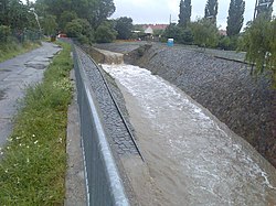 Лизинг в Вене во время разлива