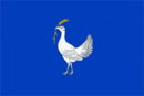 Drapeau de Drochia