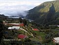 Galipan, P.N: EL Ávila, Estado Vargas - Venezuela.