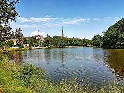 View across pond towards Martin Luther church and town hall