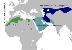 Description de l'image Houbara map.svg.