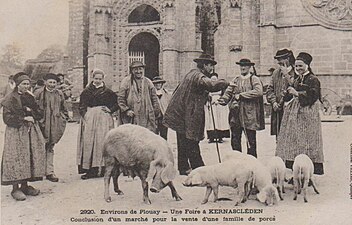 conclusion d'un marché pour la vente d'une famille de porcs au bourg de Kernascléden vers 1900 (carte postale ancienne).