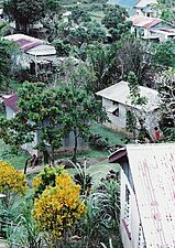 Lovoni Village, Ovalau