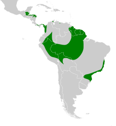 Distribuição do uiraçu-falso