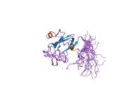 1wwy: Solution structure of the DUF1000 domain of a thioredoxin-like protein 1