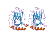 2j1z: HUMAN P53 CORE DOMAIN MUTANT M133L-V203A-N239Y-N268D-F270L