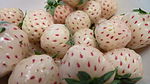 菠蘿莓 Pineberry