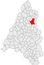 Location in Bihor County