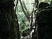 moss-covered rocks in Puzzlewood Forest