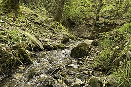 Source of the Aveyron.