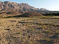 نمایی از تپه پشت پشته