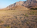 نمایی از تپه پشت پشته