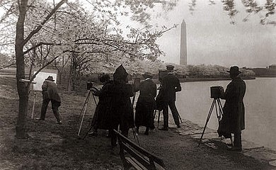 Tidal Basin between 1909 and 1932 with cherry trees in blossom