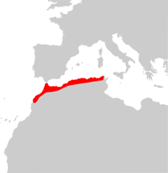 Mapa de distribución.