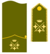 Teniente general