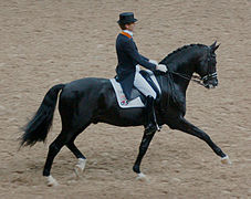 Dressage.