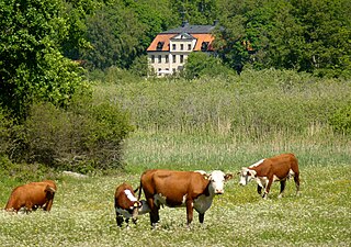 Kulturlandskapet vid Ågesta gård