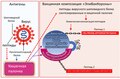 Миниатюра для версии от 00:46, 13 февраля 2022