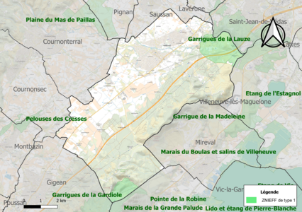 Carte des ZNIEFF de type 1 sur la commune.