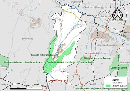 Carte de la ZNIEFF de type 1 sur la commune.