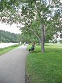 Bow River trail in Parkdale just after the 2013 flood