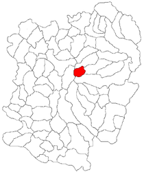 Location in Caraș-Severin County