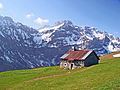 Vieux chalet d'alpage.