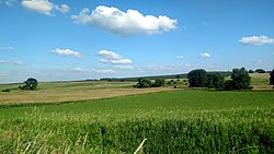 Farmland in Corinth Township