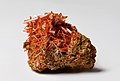 Image 28Crocoite, by JJ Harrison (from Wikipedia:Featured pictures/Sciences/Geology)