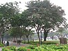 Esplanade Park, Singapore