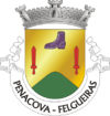 Brasão de armas de Penacova