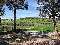 A verdant green hill near Moshav Tzafririm