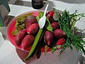 Hauxya pods, also known as Guajes, served as part of a Oaxacan Botana.