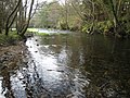 Río Landro entre Miñotos, Ourol e Xerdiz, Ourol